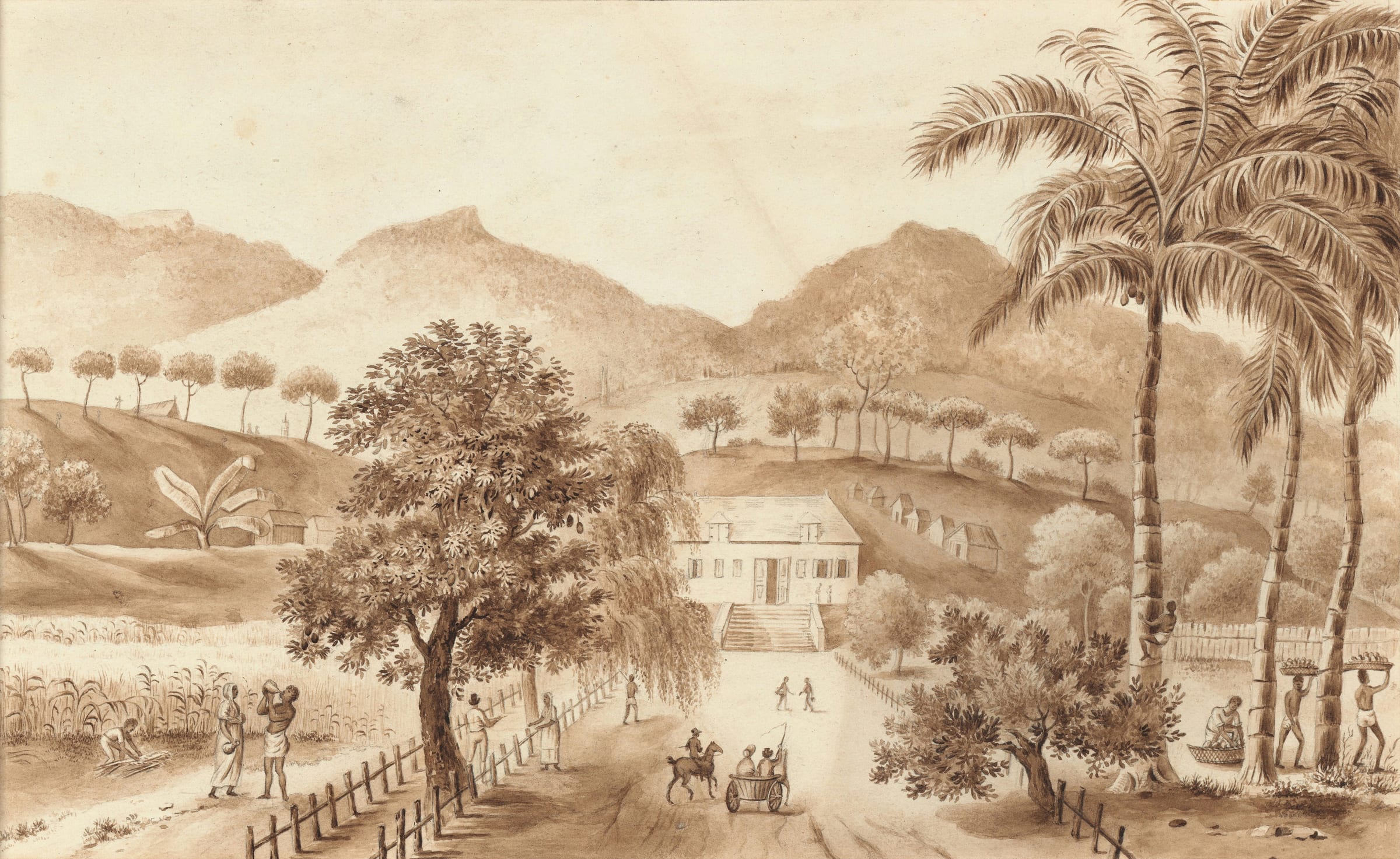 View of Fazenda Pombal, Colônia Leopoldina, Bahia, by Jean-Frédéric Bosset de Luze.