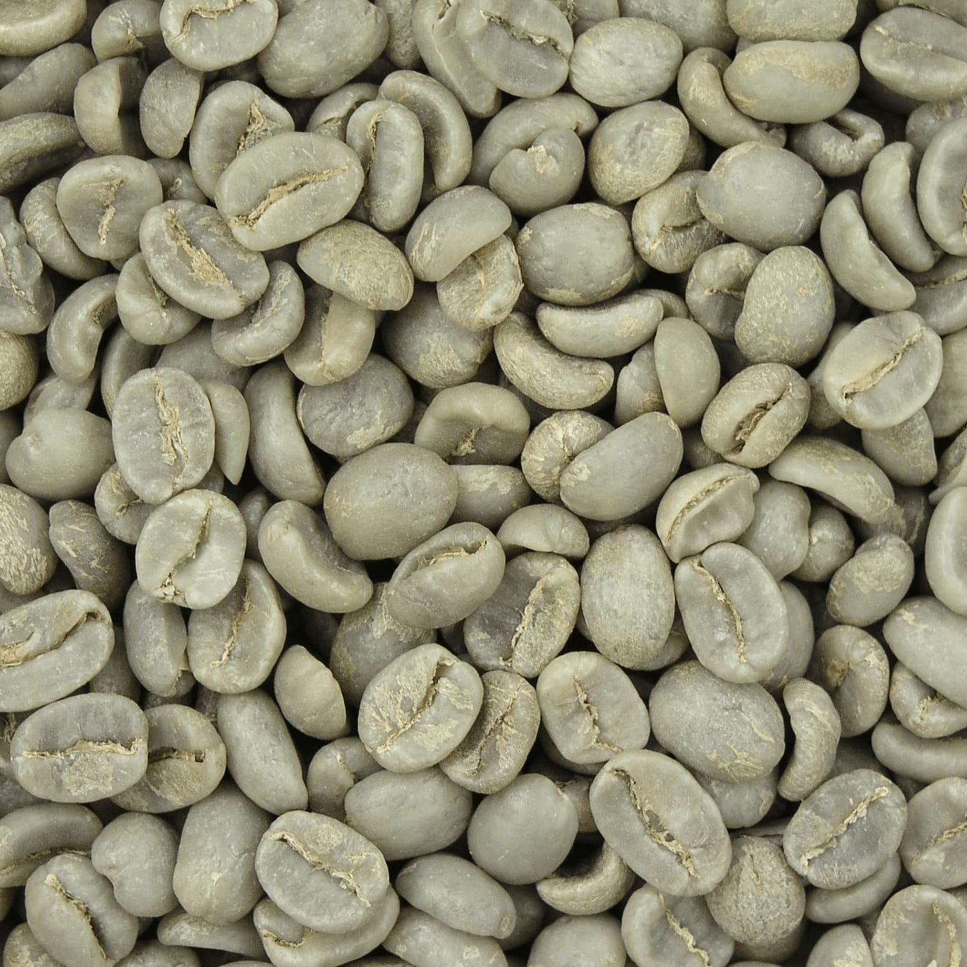 Unroasted green coffee beans at the start of the roast.