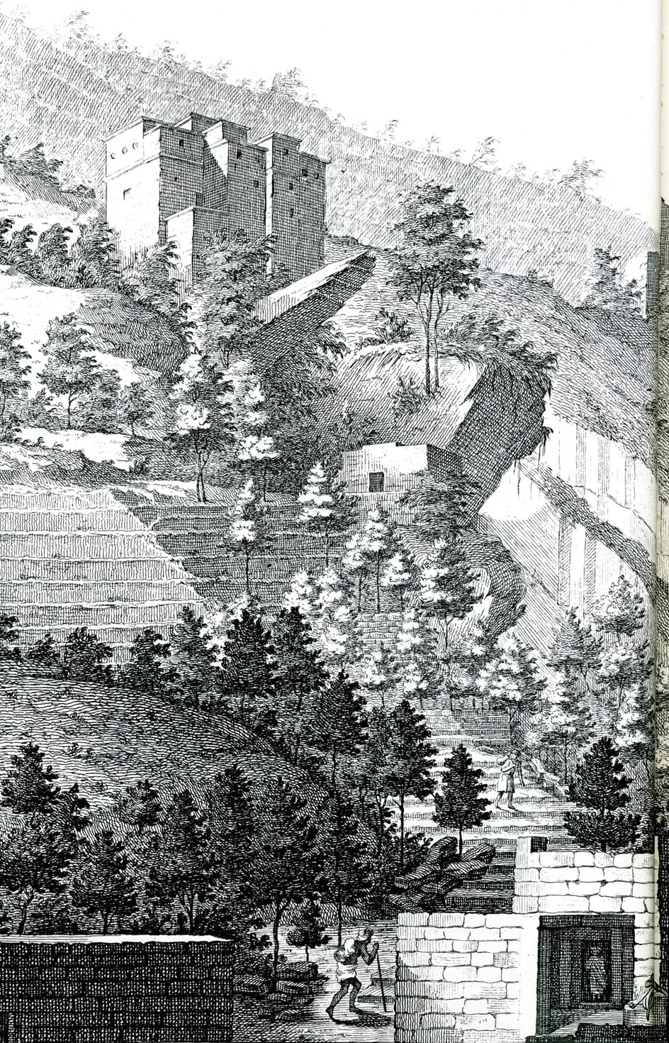 1762 engraving of a coffee plantation in Yemen with terraced planting.